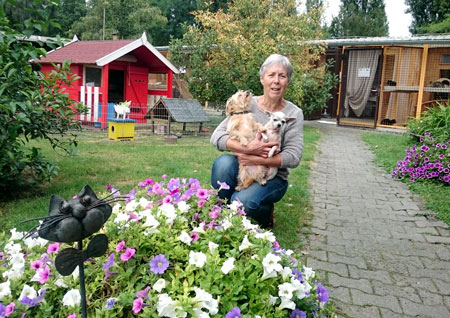 katzenschutzverein Tierheimleiterin  katze frankfurt