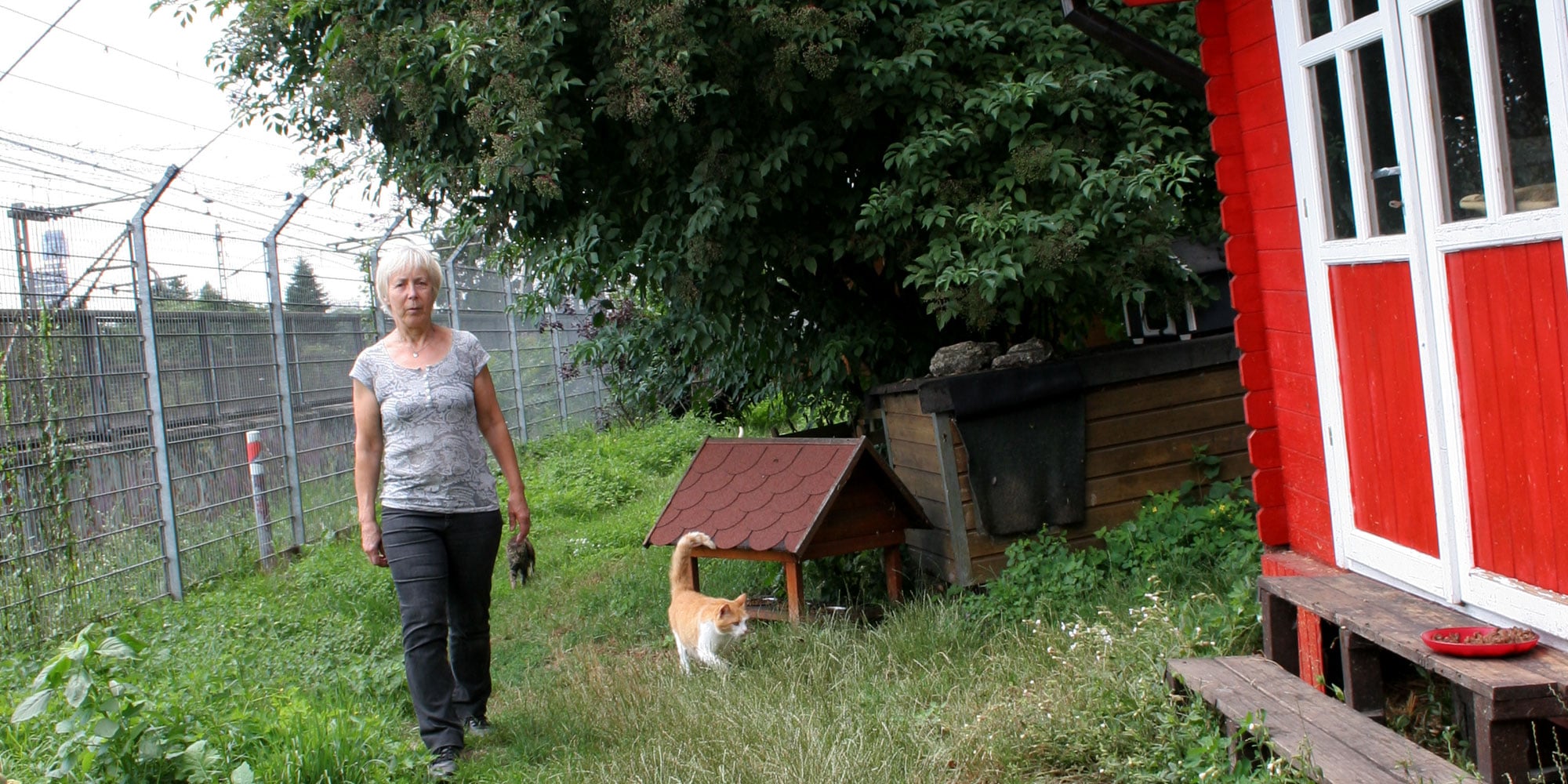 Tierheimleiterin Brigitte Maucolin in der großen Katzenfreiheit