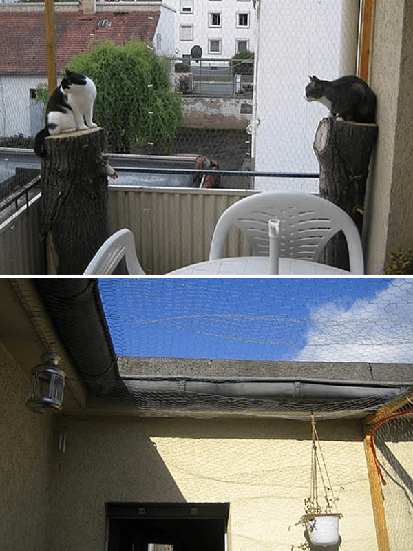 Balkonabsicherung für Katzen selbstgemacht