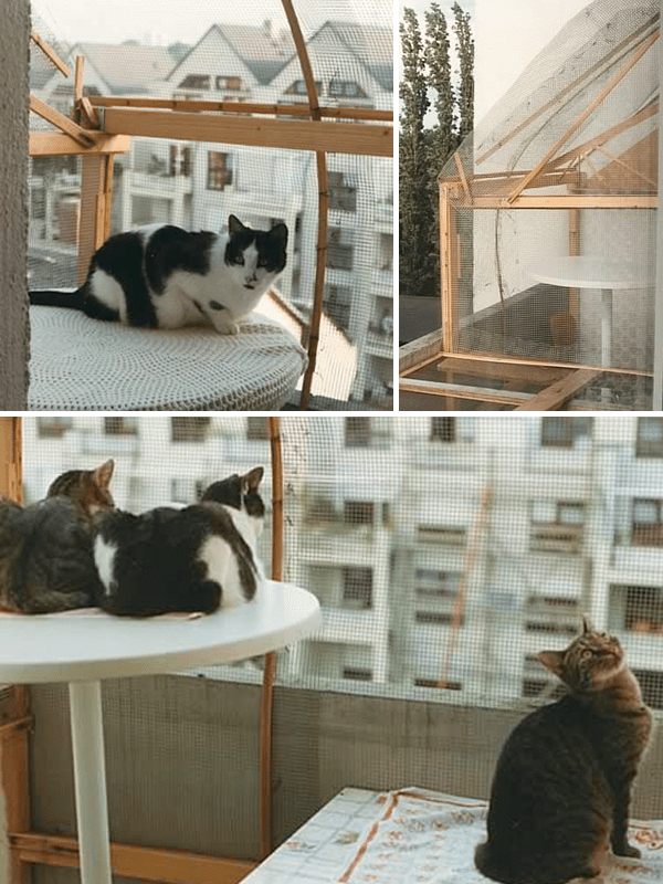 Katzenturm als Balkonabsicherung für Katzen