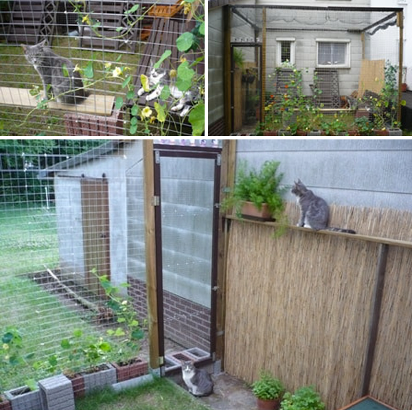Bau eines Katzengeheges für den Garten