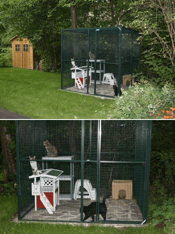 Aufstellung eines (gekauften) Geheges von Pet Cages, Holland